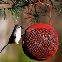 Globe Bird Feeders